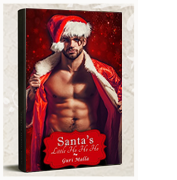 Christmas erotica holiday romance 