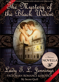 gothic mystery gay victorian romance